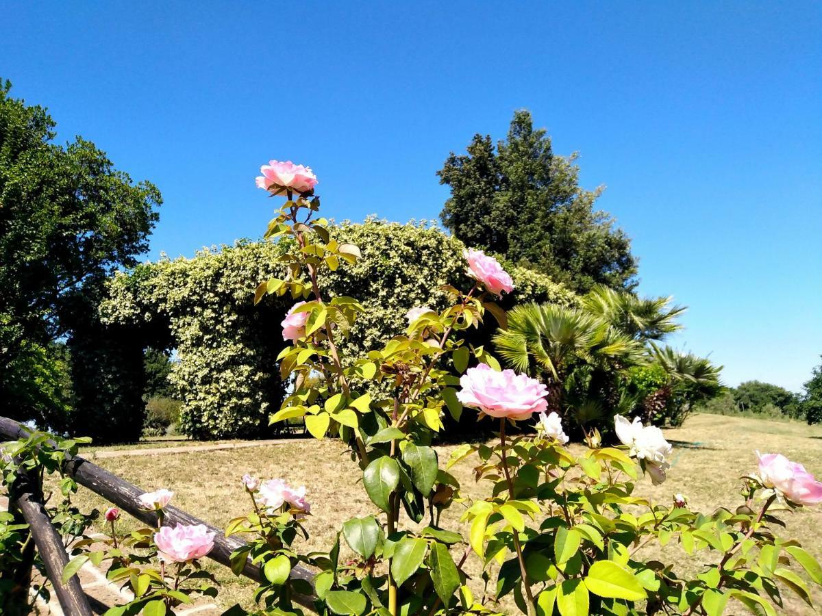 Locanda Rosati Orvieto Exterior foto